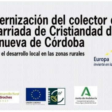 Estrategias de Desarrollo Local Leader