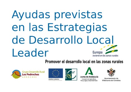 Estrategias de Desarrollo Local Leader